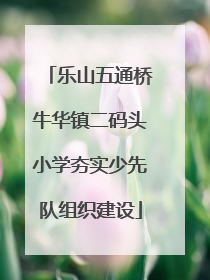 乐山五通桥牛华镇二码头小学夯实少先队组织建设