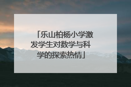 乐山柏杨小学激发学生对数学与科学的探索热情