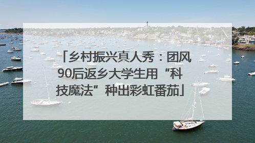 乡村振兴真人秀：团风90后返乡大学生用“科技魔法”种出彩虹番茄