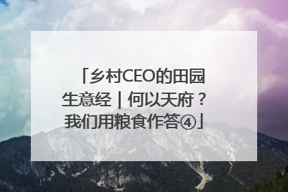 乡村CEO的田园生意经｜何以天府？我们用粮食作答④
