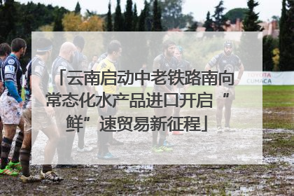 云南启动中老铁路南向常态化水产品进口开启“鲜”速贸易新征程