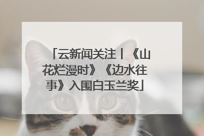 云新闻关注丨《山花烂漫时》《边水往事》入围白玉兰奖