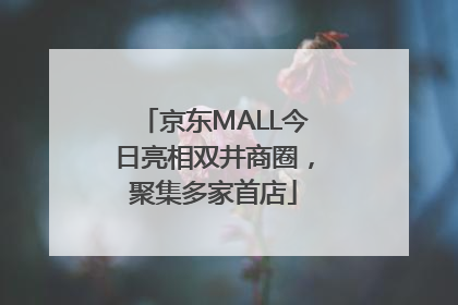京东MALL今日亮相双井商圈，聚集多家首店