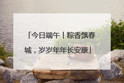 今日端午丨粽香飘春城，岁岁年年长安康