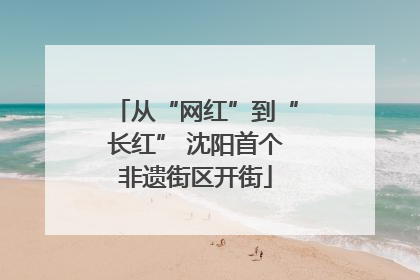 从“网红”到“长红” 沈阳首个非遗街区开街