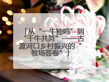 从“一牛独鸣”到“千牛共舞”——古渡河口乡村振兴的“牧场答卷”