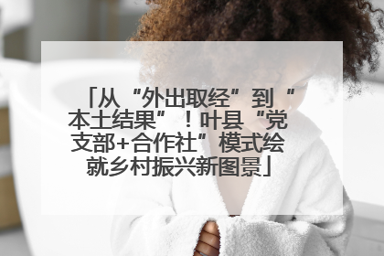 从“外出取经”到“本土结果”！叶县“党支部+合作社”模式绘就乡村振兴新图景