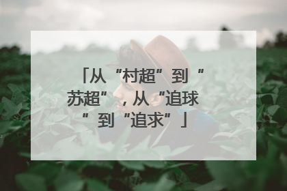 从“村超”到“苏超”，从“追球”到“追求”