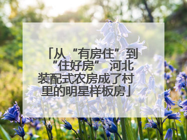从“有房住”到“住好房” 河北装配式农房成了村里的明星样板房