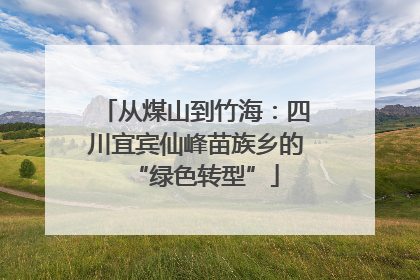 从煤山到竹海：四川宜宾仙峰苗族乡的“绿色转型”