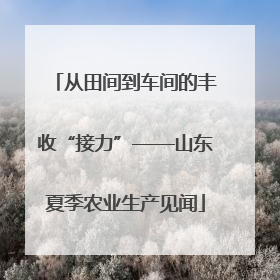 从田间到车间的丰收“接力”——山东夏季农业生产见闻
