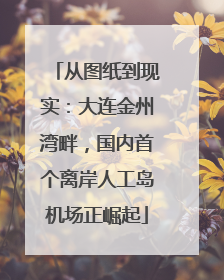 从图纸到现实：大连金州湾畔，国内首个离岸人工岛机场正崛起