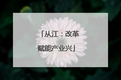 从江：改革赋能产业兴