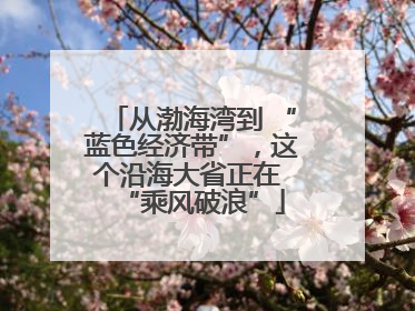 从渤海湾到 “蓝色经济带”，这个沿海大省正在 “乘风破浪”