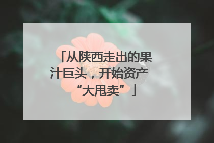 从陕西走出的果汁巨头，开始资产“大甩卖”