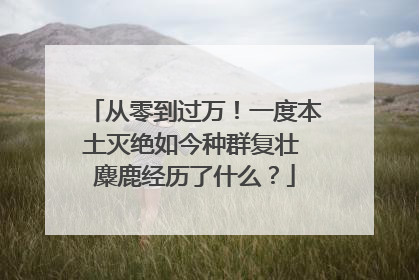 从零到过万！一度本土灭绝如今种群复壮 麋鹿经历了什么？