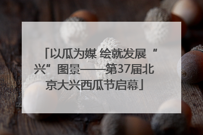 以瓜为媒 绘就发展“兴”图景——第37届北京大兴西瓜节启幕