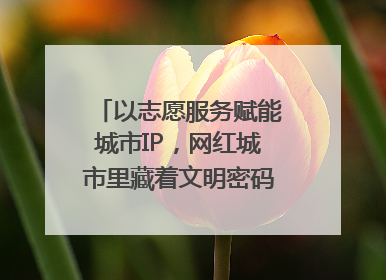 以志愿服务赋能城市IP，网红城市里藏着文明密码｜新京报评论