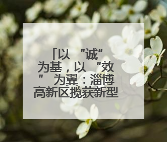以 “诚” 为基，以 “效” 为翼：淄博高新区揽获新型环保材料产业新引擎