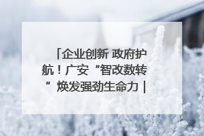 企业创新 政府护航！广安“智改数转”焕发强劲生命力｜市州焕新力