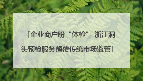 企业商户盼“体检” 浙江洞头预检服务颠覆传统市场监管