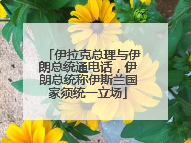 伊拉克总理与伊朗总统通电话，伊朗总统称伊斯兰国家须统一立场