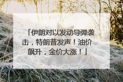 伊朗对以发动导弹袭击，特朗普发声！油价飙升，金价大涨！