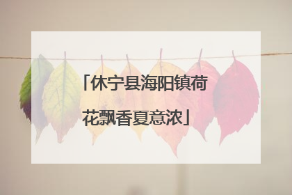 休宁县海阳镇荷花飘香夏意浓
