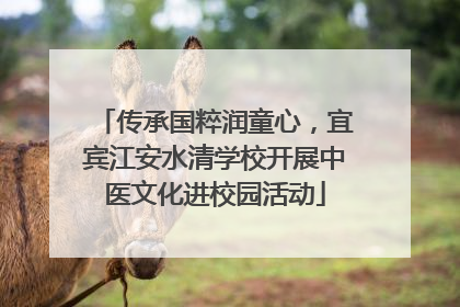 传承国粹润童心，宜宾江安水清学校开展中医文化进校园活动