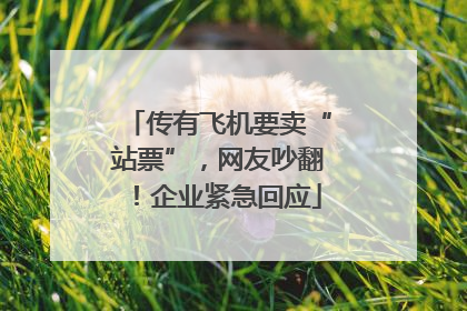 传有飞机要卖“站票”，网友吵翻！企业紧急回应