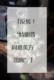 反转！“特朗普同意美方出席”