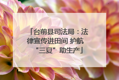 台前县司法局：法律宣传进田间 护航“三夏”助生产