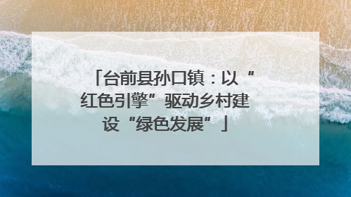 台前县孙口镇：以“红色引擎”驱动乡村建设“绿色发展”
