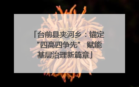 台前县夹河乡：锚定“四高四争先” 赋能基层治理新篇章