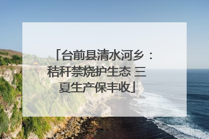 台前县清水河乡：秸秆禁烧护生态 三夏生产保丰收