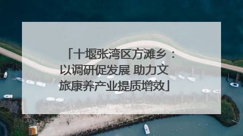 十堰张湾区方滩乡：以调研促发展 助力文旅康养产业提质增效