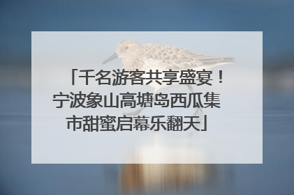 千名游客共享盛宴！宁波象山高塘岛西瓜集市甜蜜启幕乐翻天