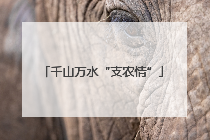 千山万水“支农情”