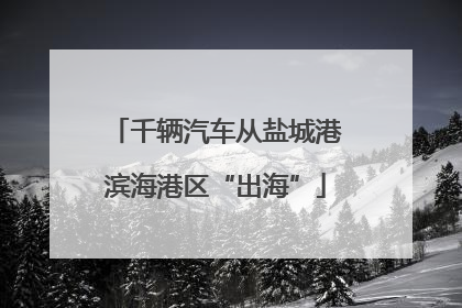 千辆汽车从盐城港滨海港区“出海”