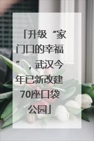 升级“家门口的幸福”，武汉今年已新改建70座口袋公园