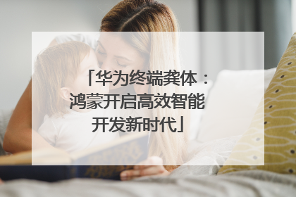 华为终端龚体：鸿蒙开启高效智能开发新时代