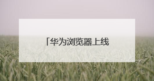 华为浏览器上线“高考”频道，AI志愿助手让志愿填报更稳更准