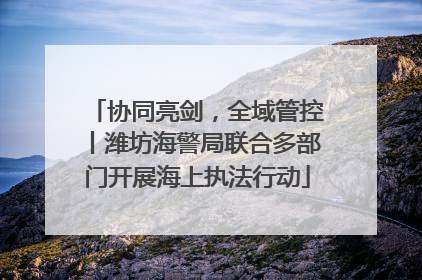 协同亮剑，全域管控丨潍坊海警局联合多部门开展海上执法行动