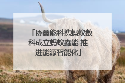 协鑫能科携蚂蚁数科成立蚂蚁鑫能 推进能源智能化