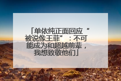 单依纯正面回应“被说像王菲”：不可能成为和超越前辈，我想致敬他们