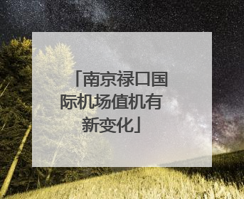 南京禄口国际机场值机有新变化