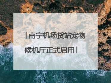 南宁机场货站宠物候机厅正式启用