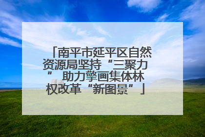 南平市延平区自然资源局坚持“三聚力” 助力擎画集体林权改革“新图景”