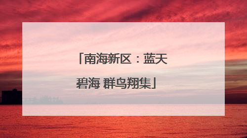 南海新区：蓝天碧海 群鸟翔集