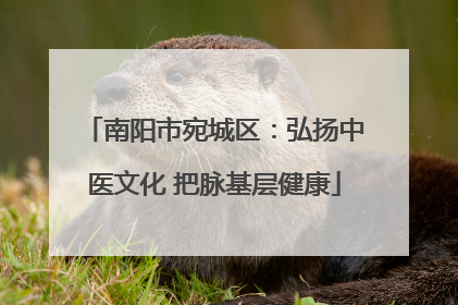 南阳市宛城区：弘扬中医文化 把脉基层健康